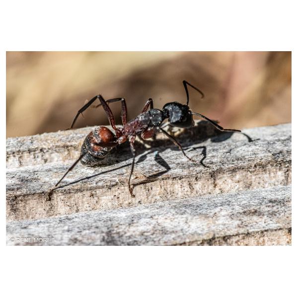 PHOTO84, CLUB, 84 , LUBERON